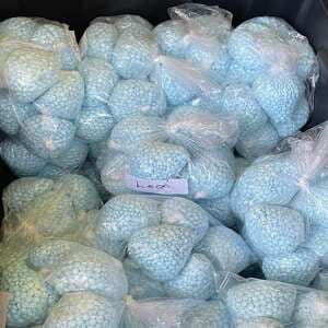 DEA Drug Enforcement Lapses Trigger State-Level Accountability Push