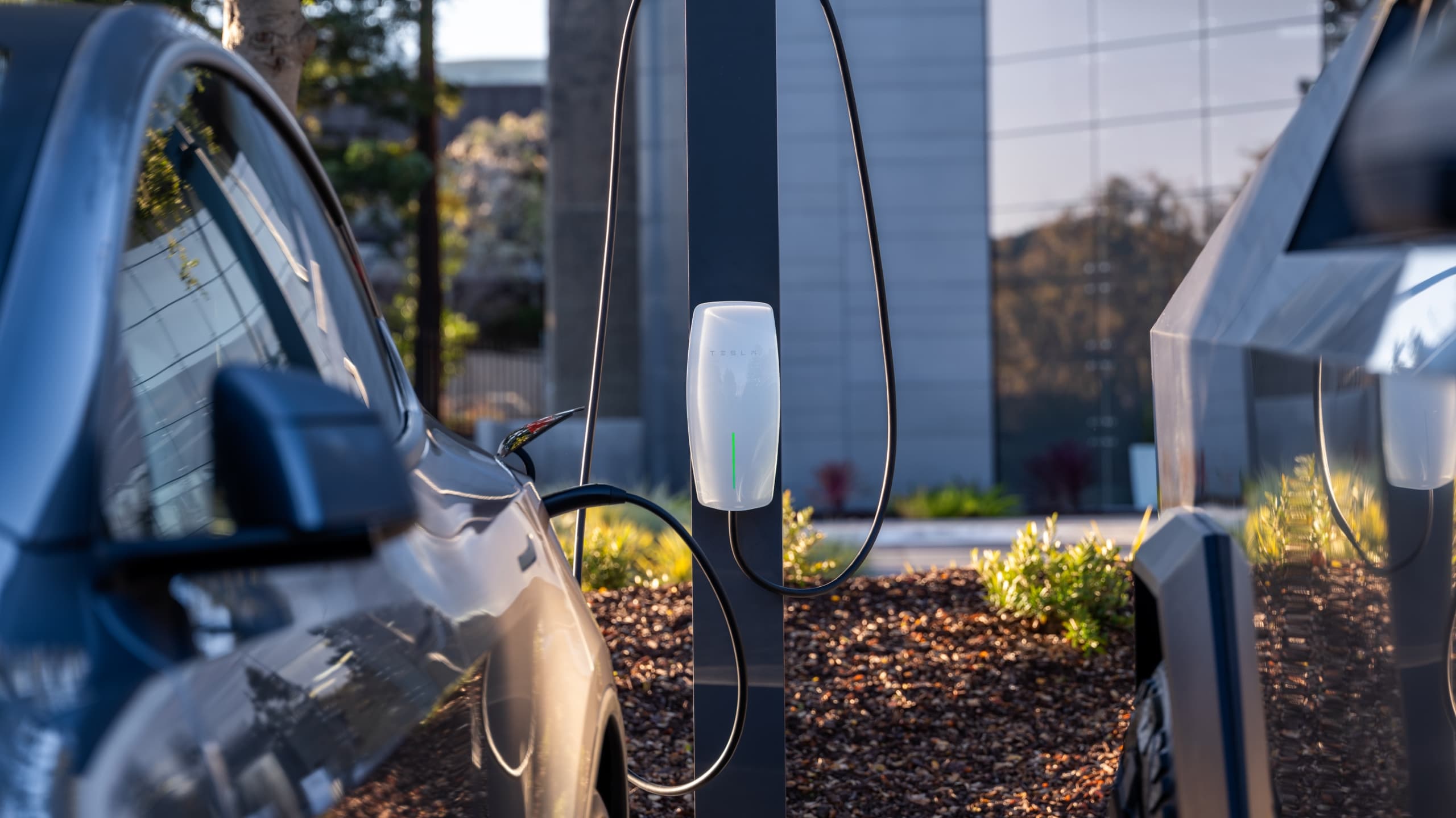 Tesla Brings Robotaxi Service to Miami Market