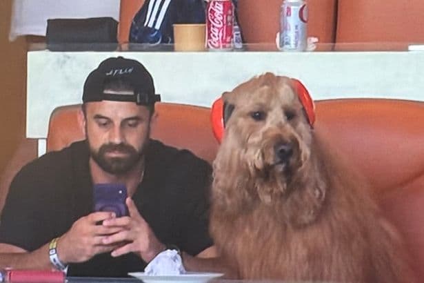 Hard Rock Stadium Scores PR Win with Celebrity Canine Appearance