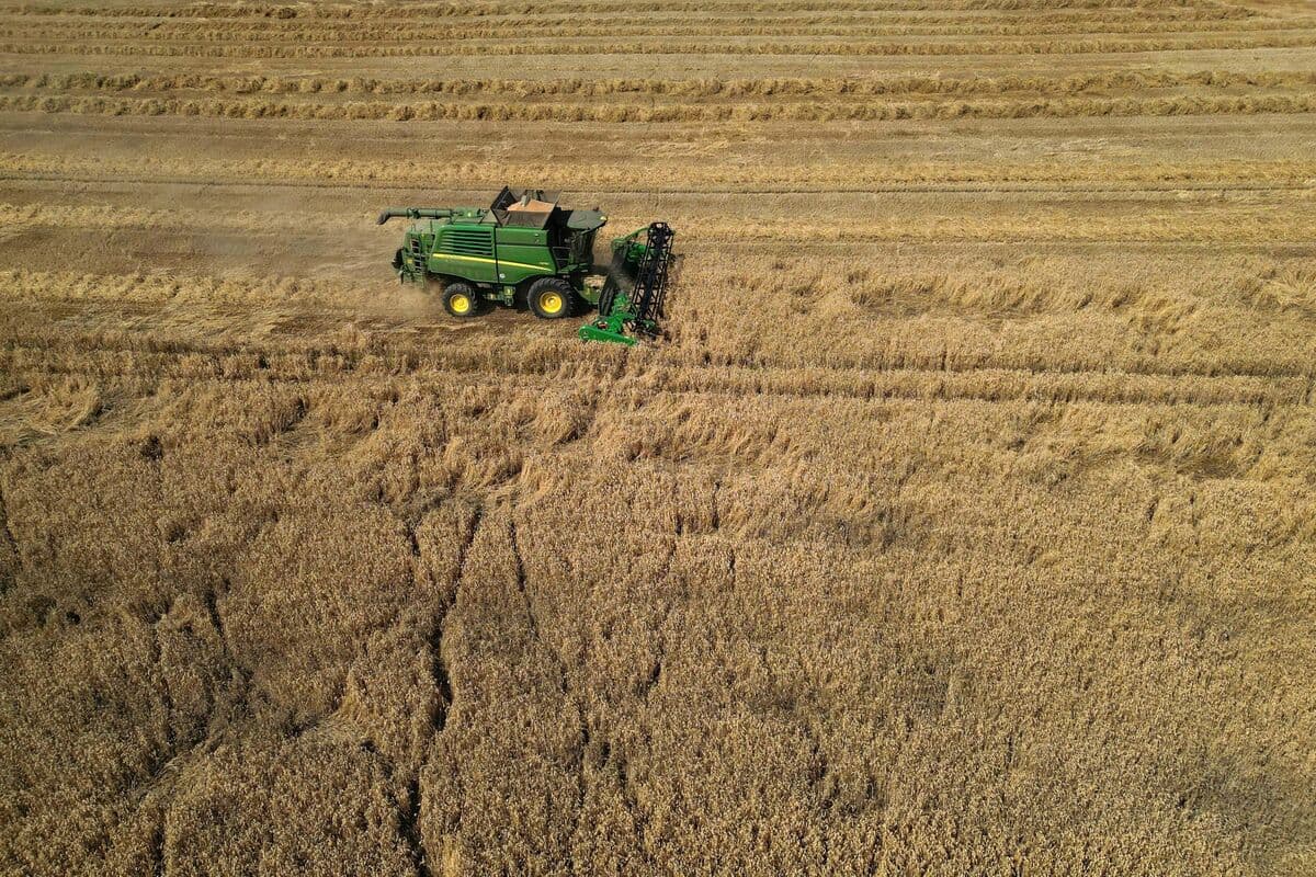 Global Crop Prices Surge to 3-Year High Amid Supply Threats